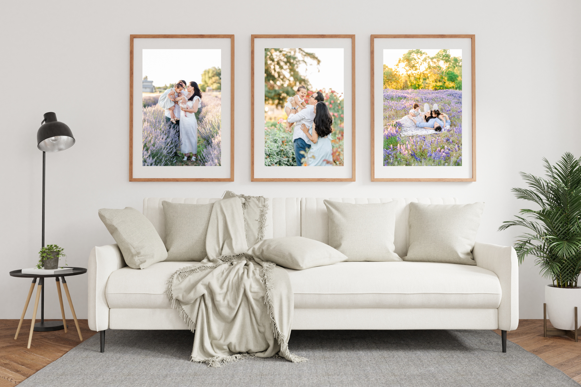 Three framed family portraits hanging above a cream-colored couch in a cozy, modern living room, showcasing lavender field photo sessions with soft evening light.